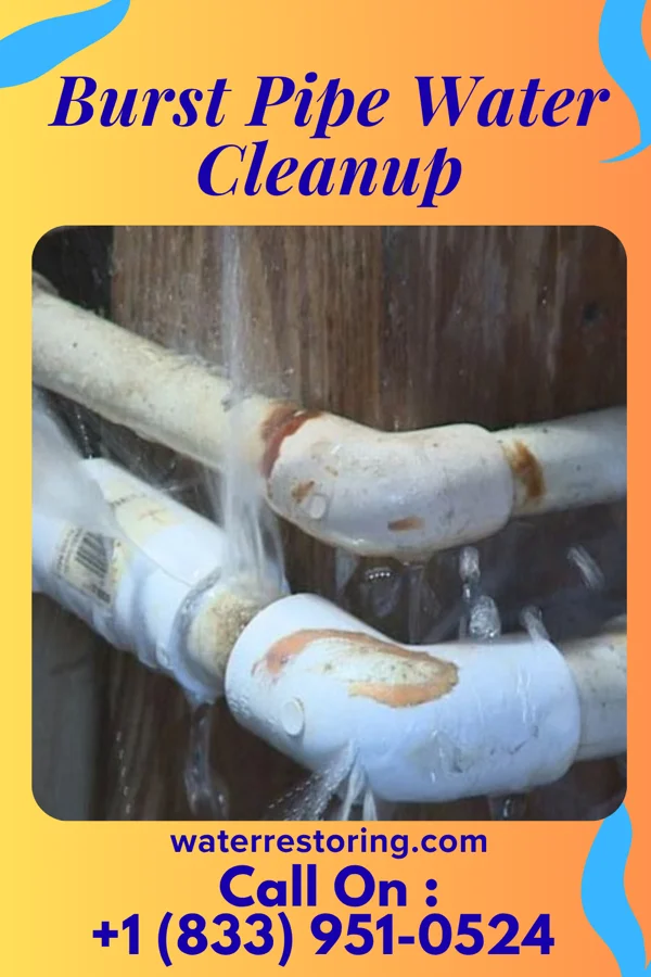 Burst Pipe Water Cleanup in Duncan, SC