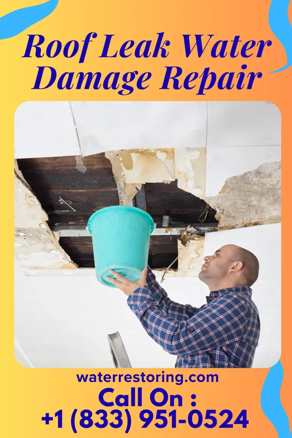Roof Leak Water Damage Repair in Duncan, SC