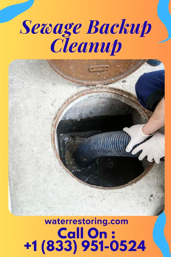Sewage Backup Cleanup in Duncan, SC
